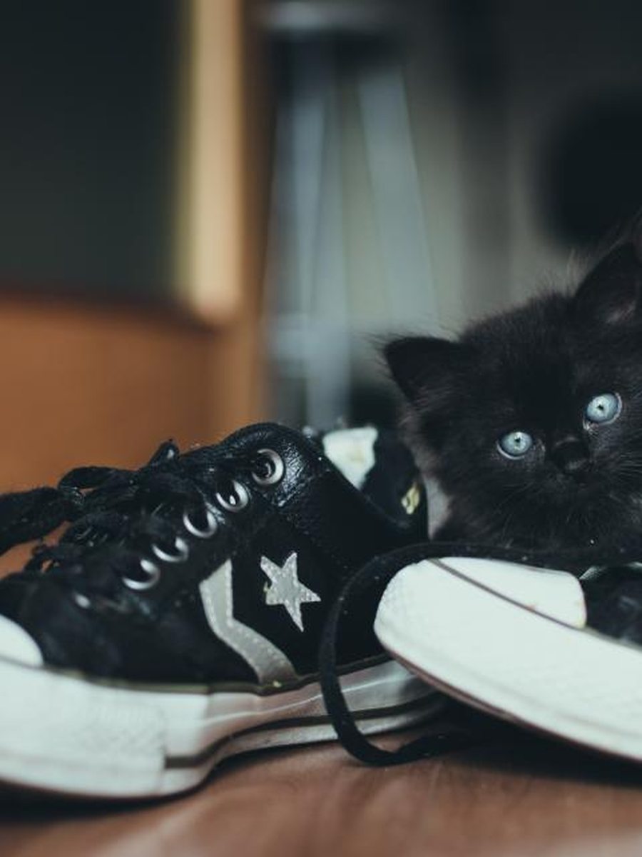 Velcro-strap trainers